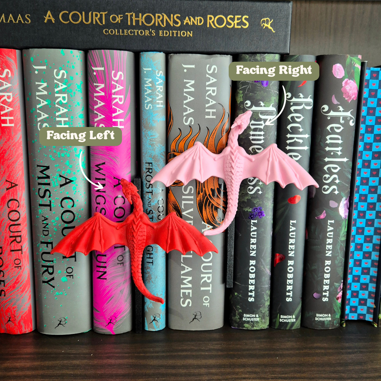 Bookshelf Peekout Sign - Dragon