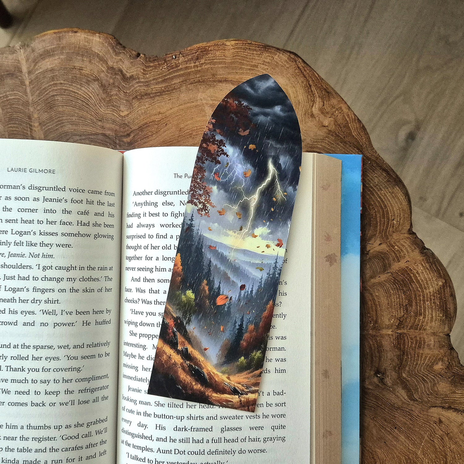 Booknook bookmark - Autumn Storm