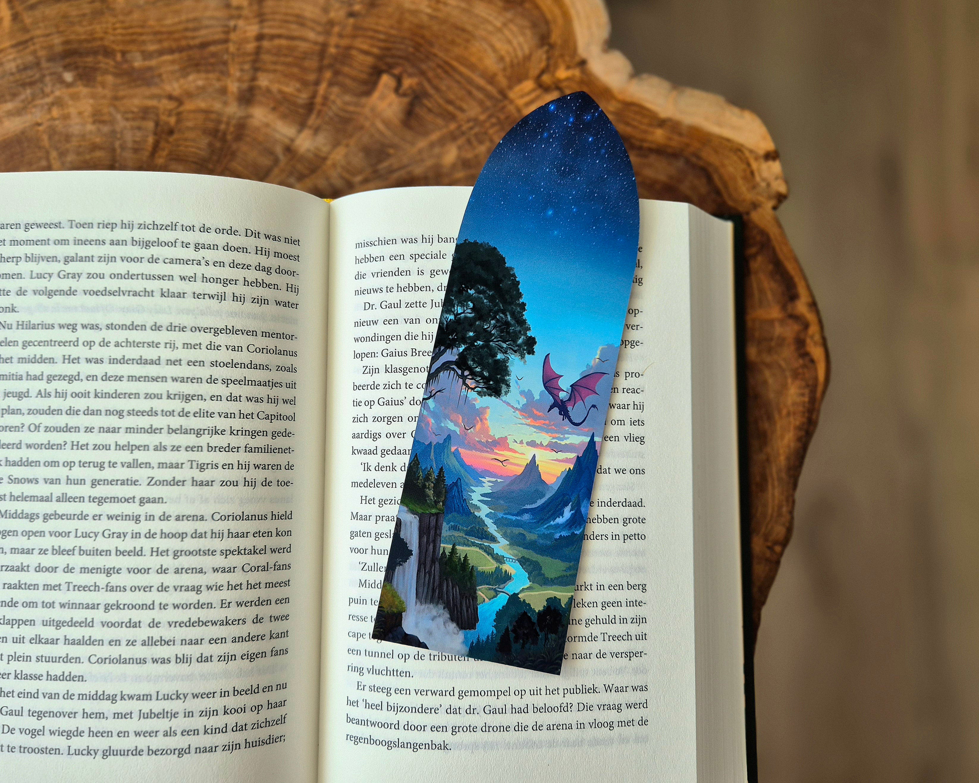 Booknook bookmark - Dragon Valley