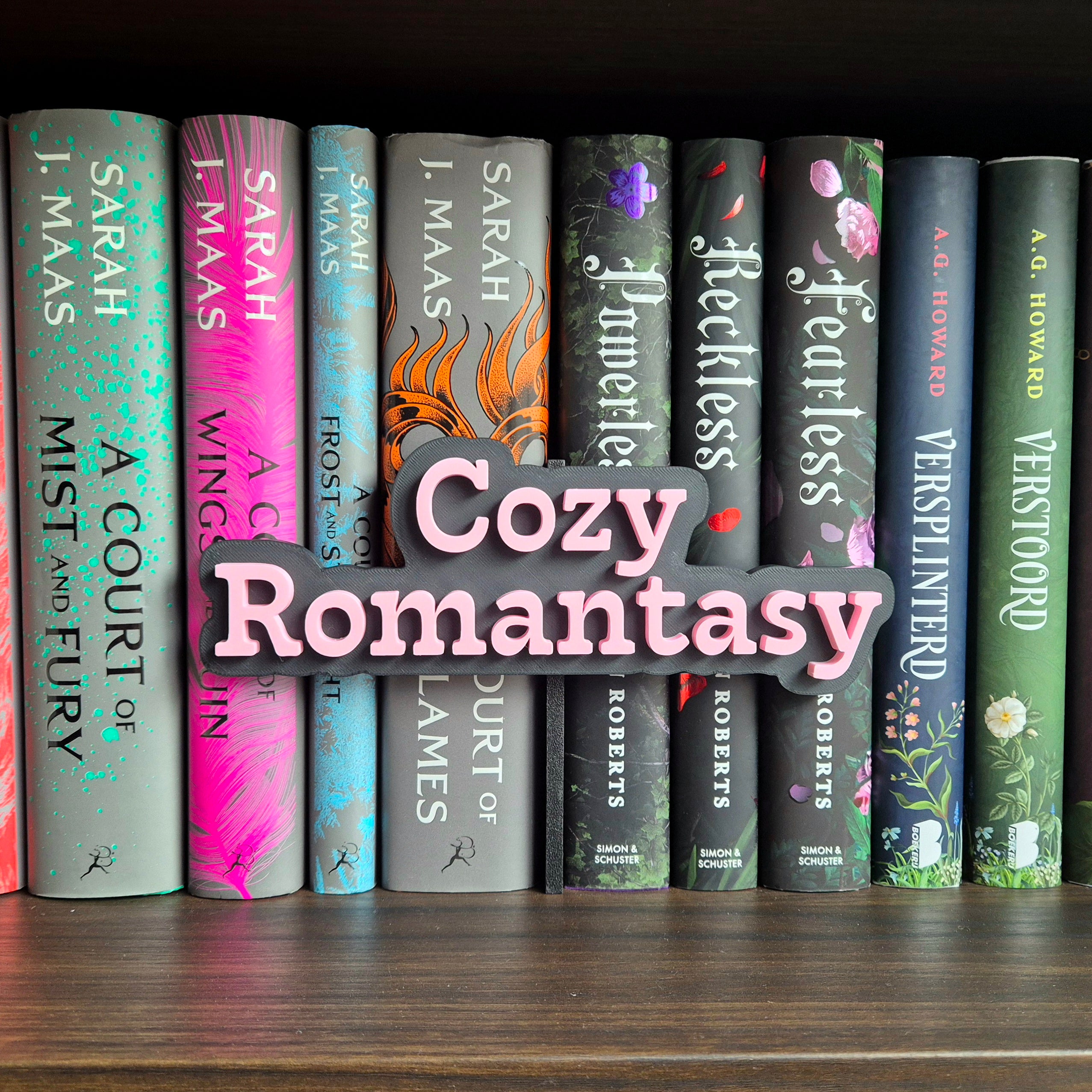Bookshelf Peekout Sign - Cozy Romantasy