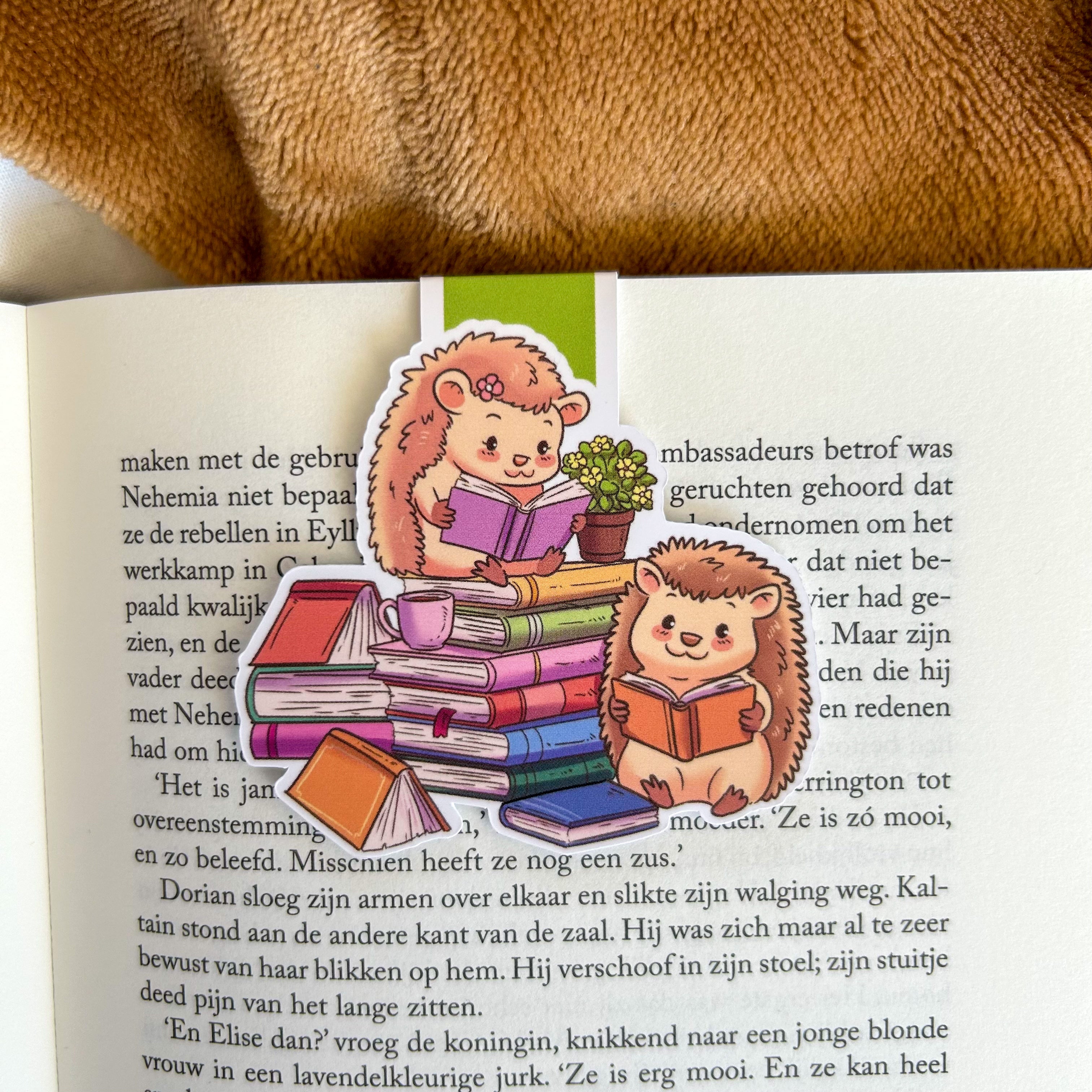 Hedgehog Tales Magnetic bookmark - Reading Stack