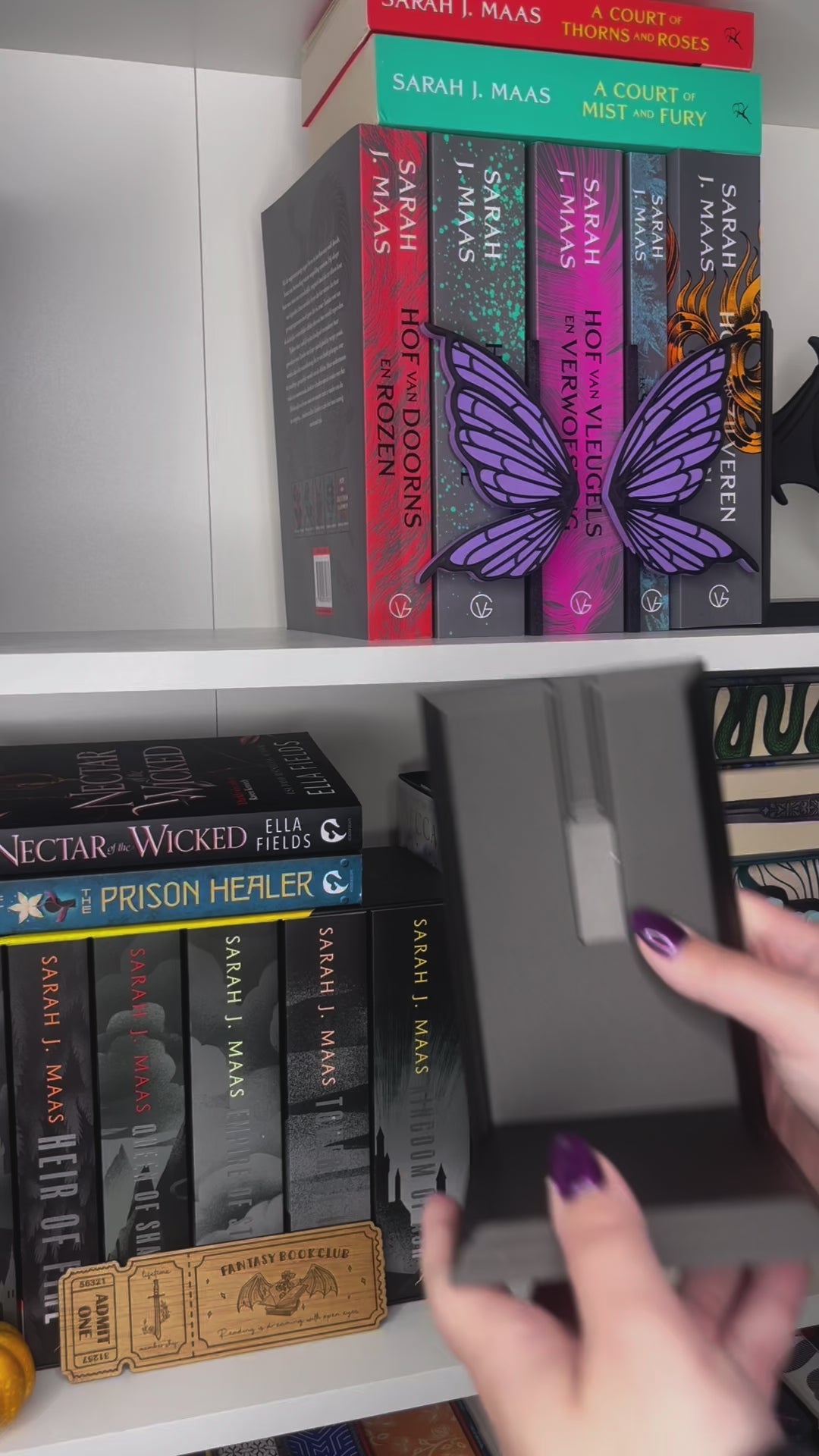 Bookends - Dragon Wings