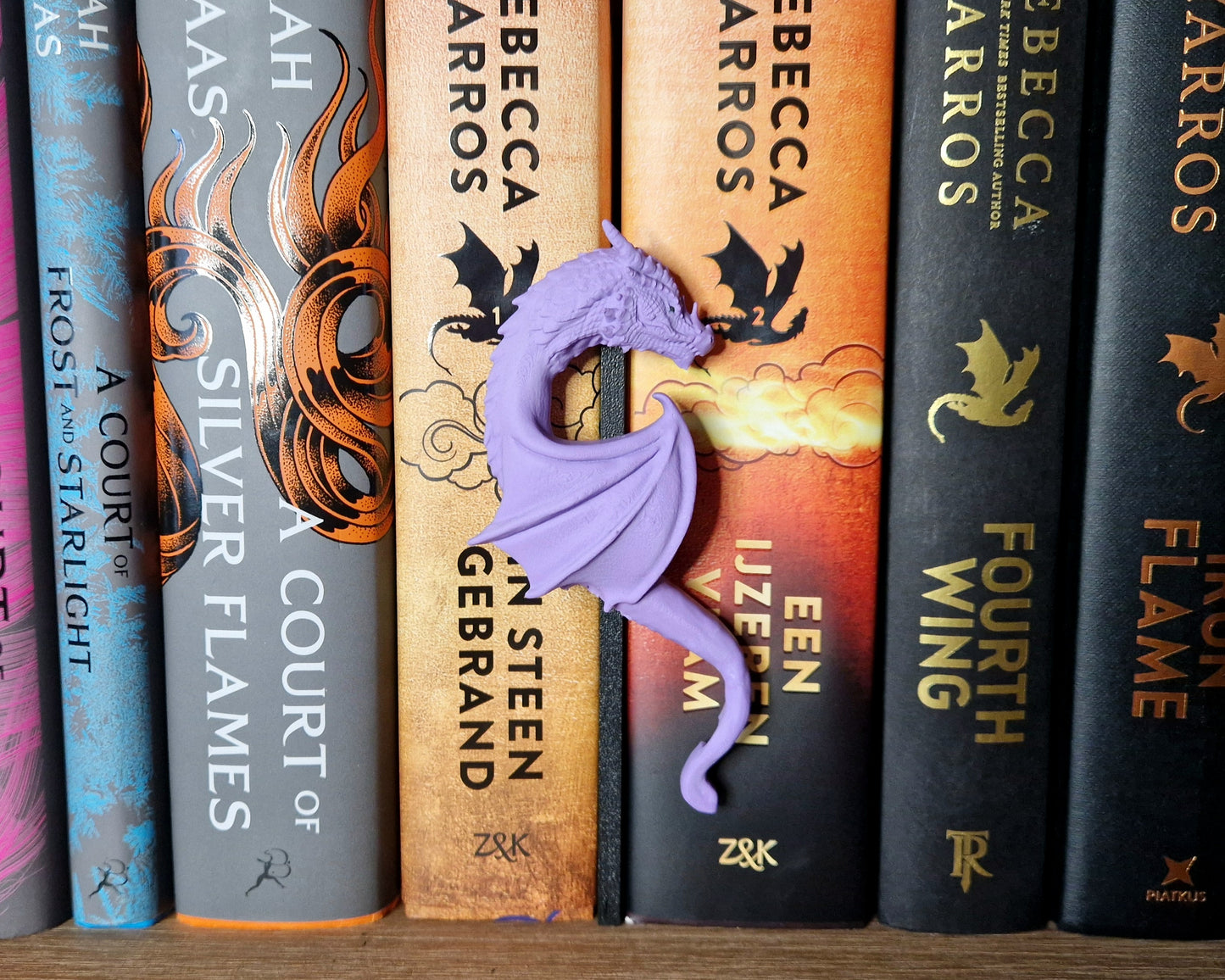 Bookshelf Peekout Sign - Dragon heart