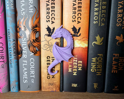 Bookshelf Peekout Sign - Dragon heart