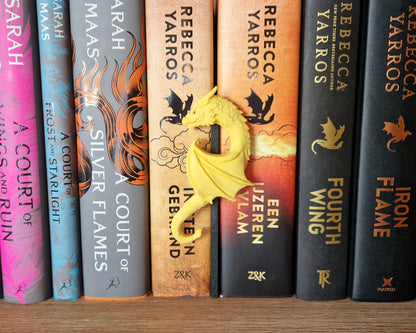 Bookshelf Peekout Sign - Dragon heart