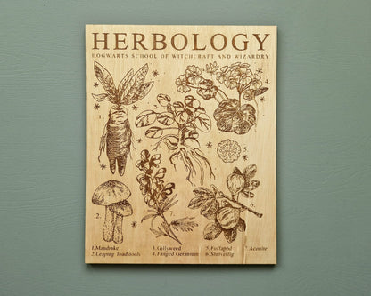 Harry Potter Wood Art - Herbology Page