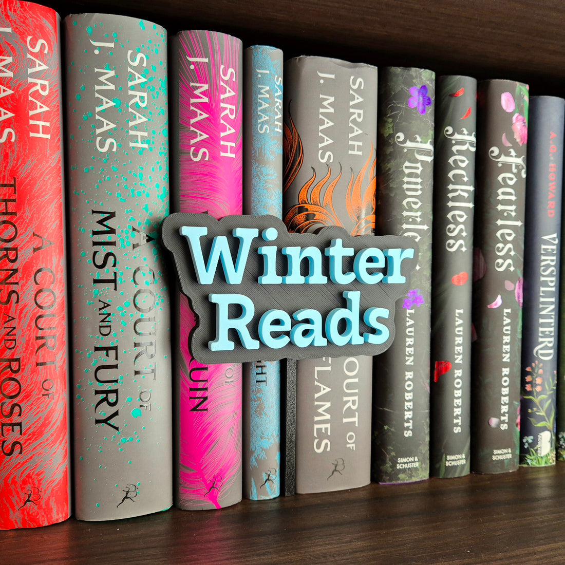 Bookshelf Peekout Sign - Winter Reads