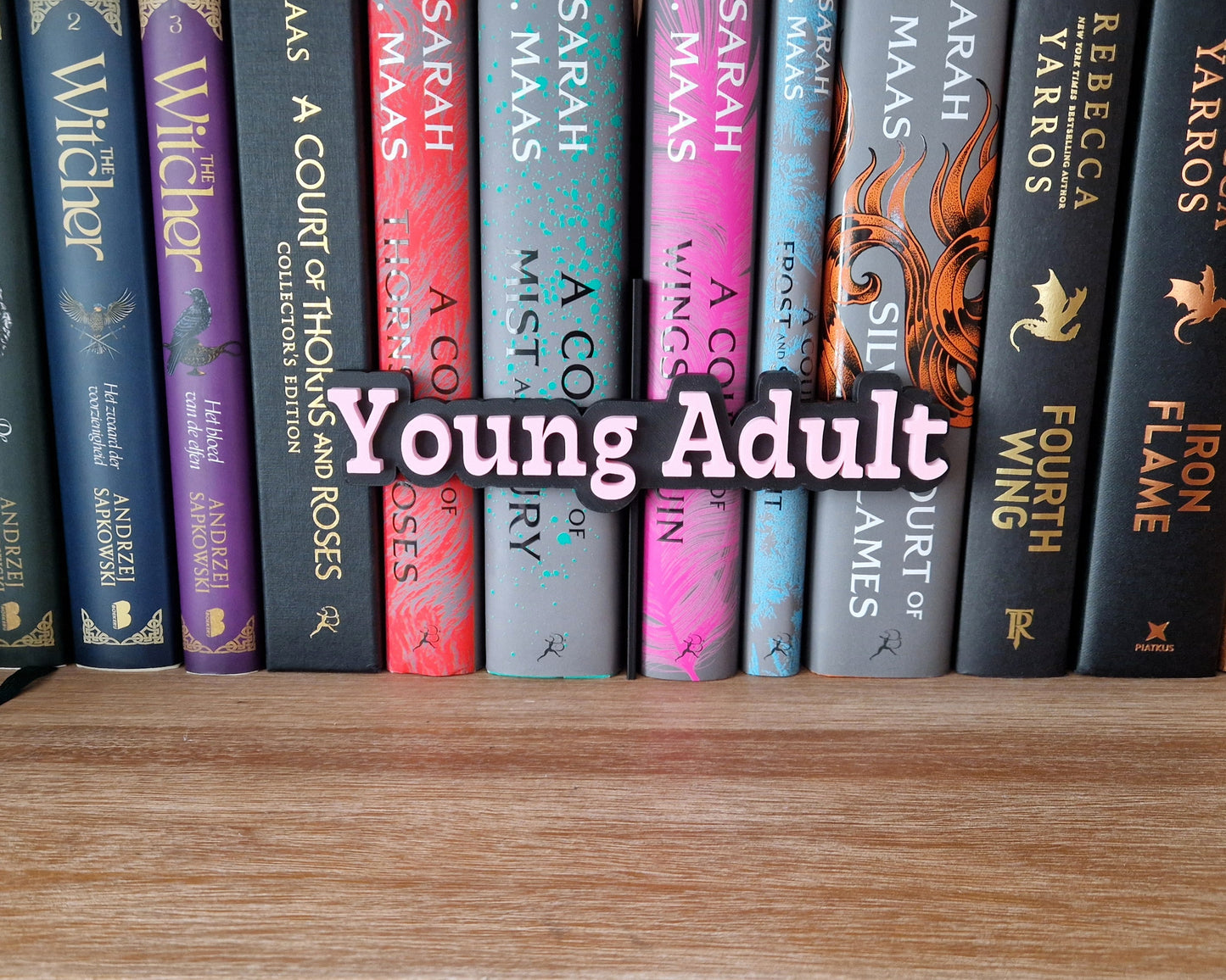 Bookshelf Peekout Sign - Young Adult